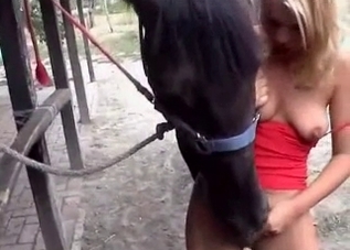 This pony is obsessed with eating human pussy