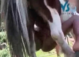 Slutty duo is about to fuck this horny horse