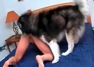 Fat husky shoves his fat cock up there